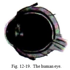 12-19.jpg