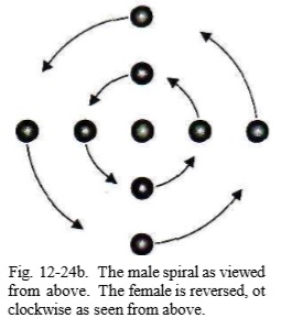 12-24b.jpg