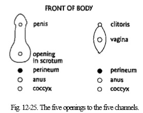 12-25.jpg