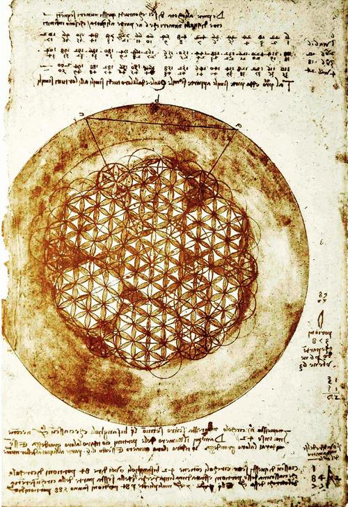 27540938_10211237797005338_6927074888082082405_n.jpg
