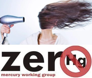 Zero Mercury Working Group ZMWG.jpg