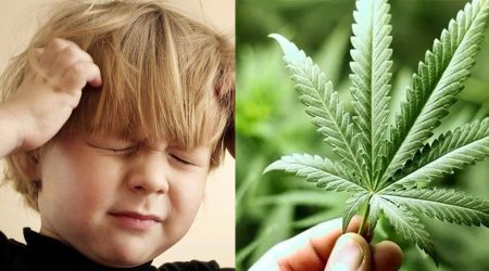 Weed hemp cannabis marijuana Epilepsy.jpg