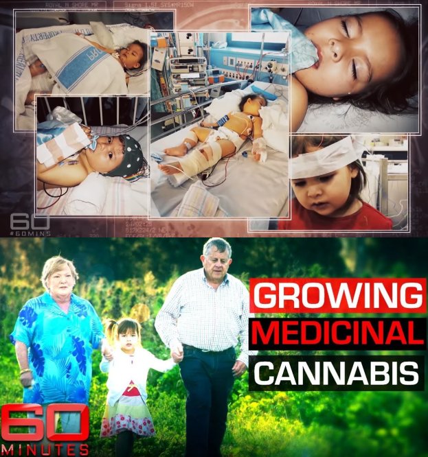Barry Joy Lambert cannabis hemp weed epilepsy.jpg