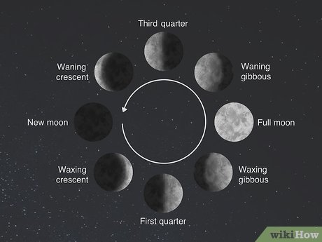 v4-460px-Tell-Whether-the-Moon-Is-Waxing-or-Waning-Step-9-Version-3.jpg