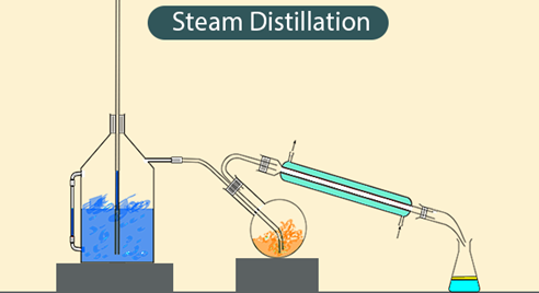 Steam-Distillation.png