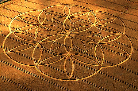 450px-Flower_of_life_Crop_Art_2003.jpg