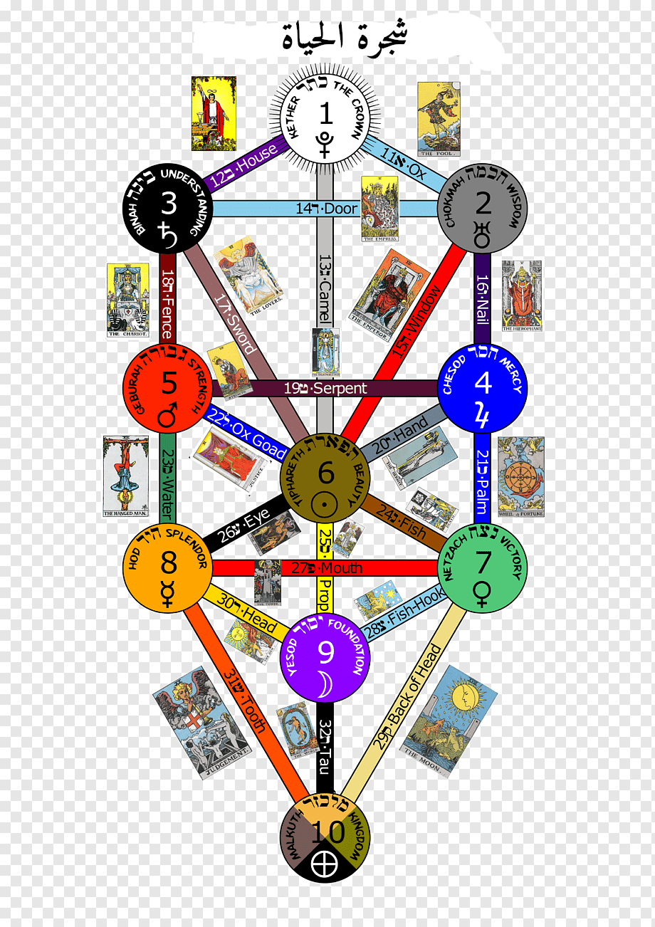 png-transparent-the-book-of-thoth-tarot-tree-of-life-sefirot-major-arcana-tree-of-life-tree-of...png