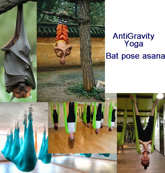 bat.jpg