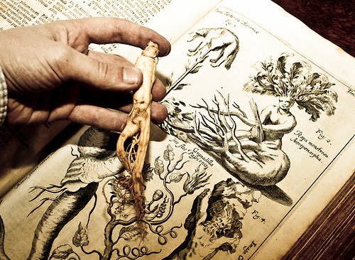 Book by Johannes Zahn from 1696 depicting miracles involving plants..jpg