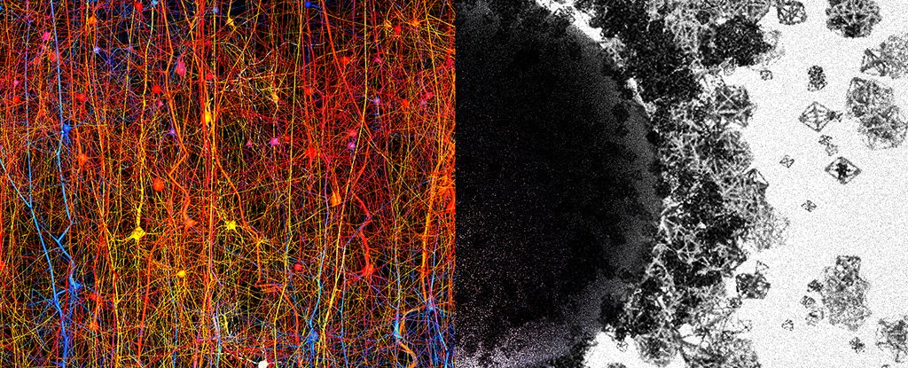 brain-algebraic-topology.jpg