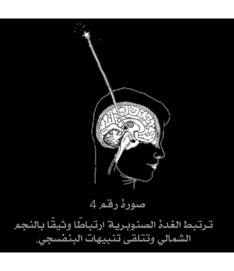 Design_124570807.png