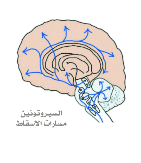 Design_1298631363.png