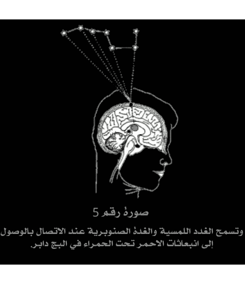 Design_1813489986.png