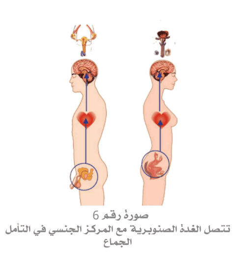 Design_1989169160.png