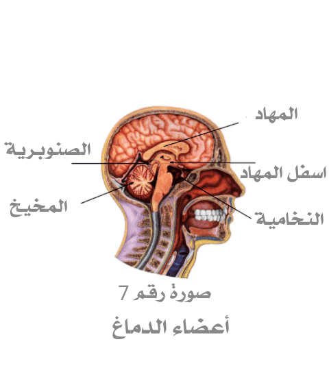 Design_2031427960.png