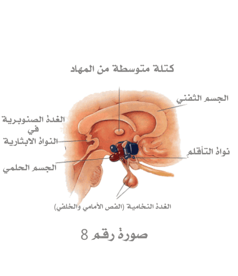 Design_311989423.png