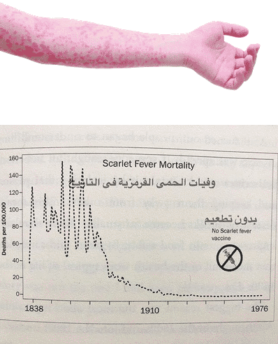 fever scarlet.png