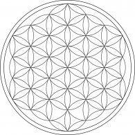 flower_of_life.jpg