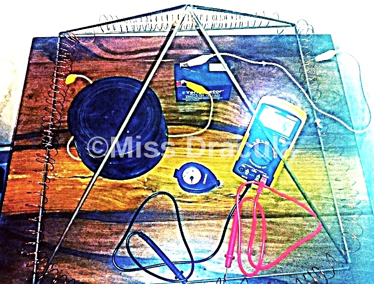 imageedit_29_4689135629.jpg