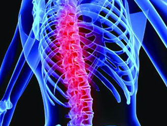 invivo-3d-printed-implants-scaffold-2.jpg