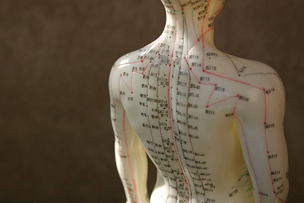 istockphoto-139869255-612x612.jpg