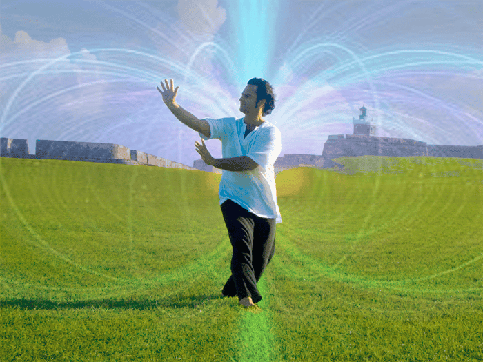 JZ_SinglePalm_MorroPR_TOROIDAL-2.png