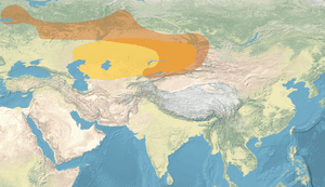 Map_of_Seima-Turbino_and_Andronovo_cultural_areas.png