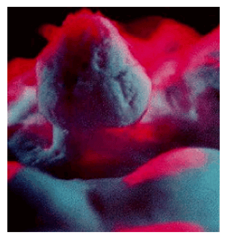 Screenshot_٢٠١٨-٠٣-٢٩-٠٢-٢٨-٠٦-1.png