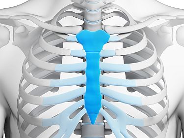sternum-pain-1.jpg
