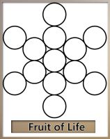 the_fruit_of_life_symbol_is_composed_of_13_circles_by_joshuapseymour-db9hhhm.jpg