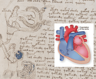 voynich heart.png