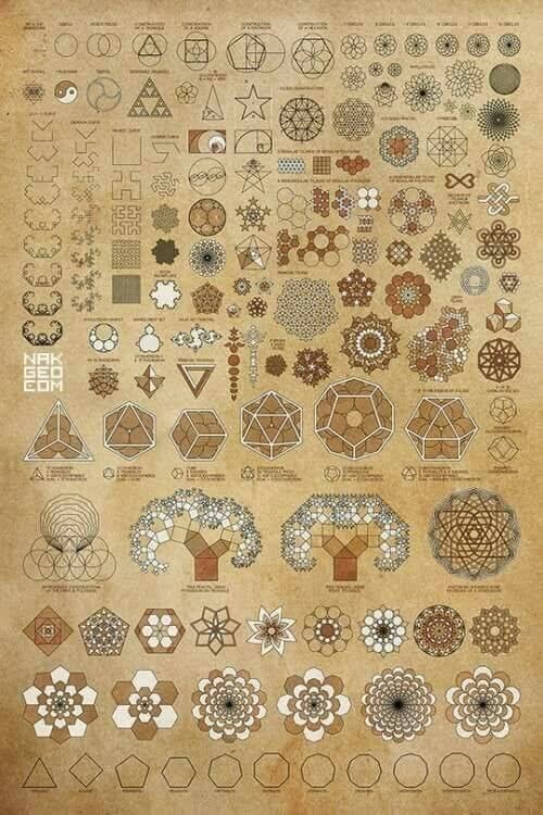 154501618_1586955851490142_8172000959830892690_n.jpg
