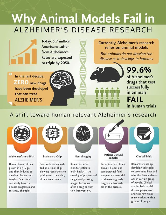 Why-Animal-Models-Fail-in-Alzheimer-s-Disease-Research.jpg