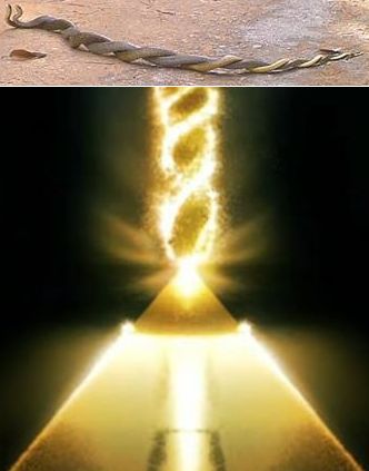 mating_energy.jpg