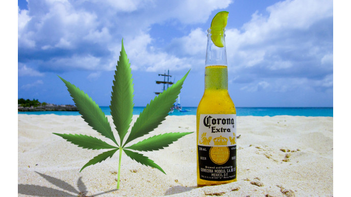 cannabis-corona.jpg