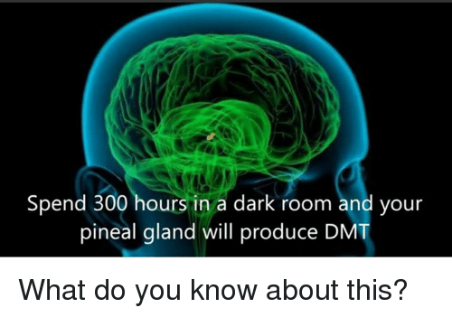 spend-300-hours-in-a-dark-room-and-your-pineal.png
