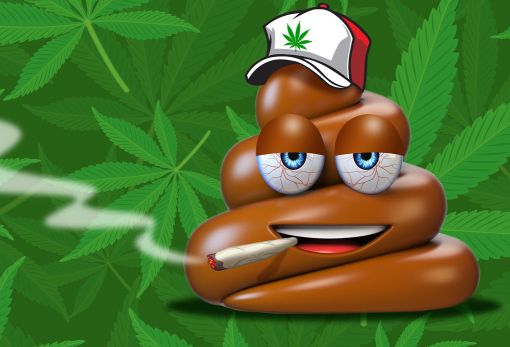poo-cannabis.jpg