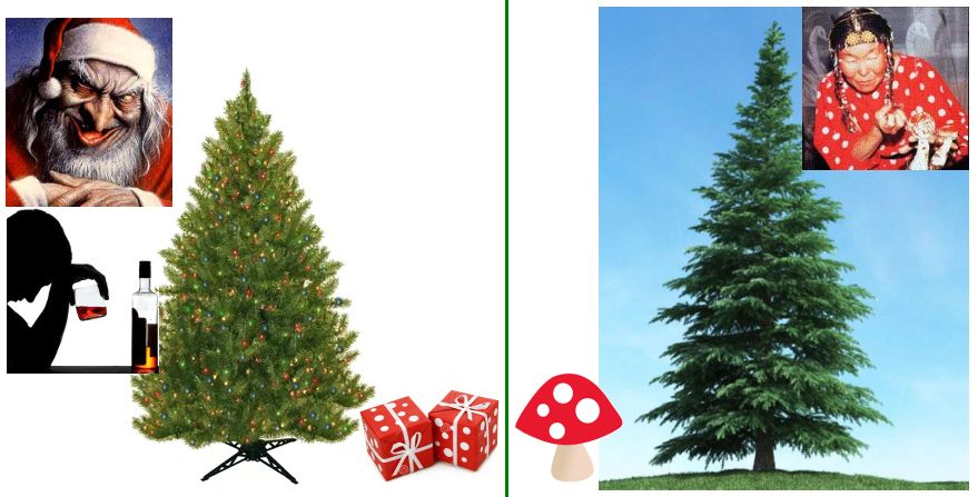 Christmas_tree.jpg