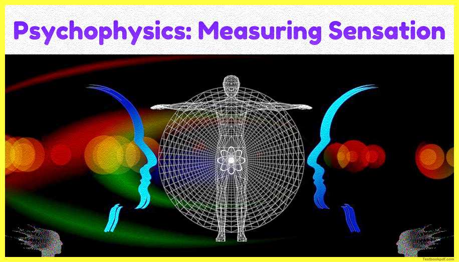 Psychophysics-Measuring-Sensation-Pdf-20.jpg