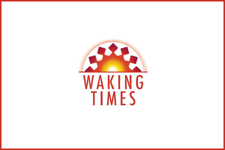 www.wakingtimes.com